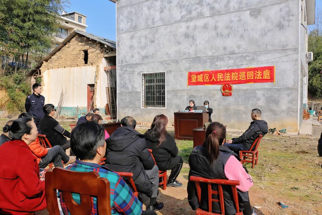 雷锋人民法庭在白箬铺镇齐天庙村对一起排除妨害案开展巡回审判.jpg